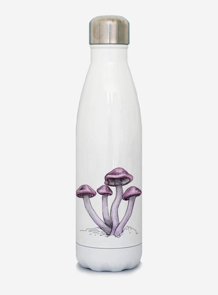 botella térmica 500ml diseño cortinarius Chile
botella reutilizable libre BPA fauna Chile
regalo botella térmica cortinarius Chile
botella térmica vuelta a clases cortinarius Chile
botella ecológica reutilizable fauna flora chilena