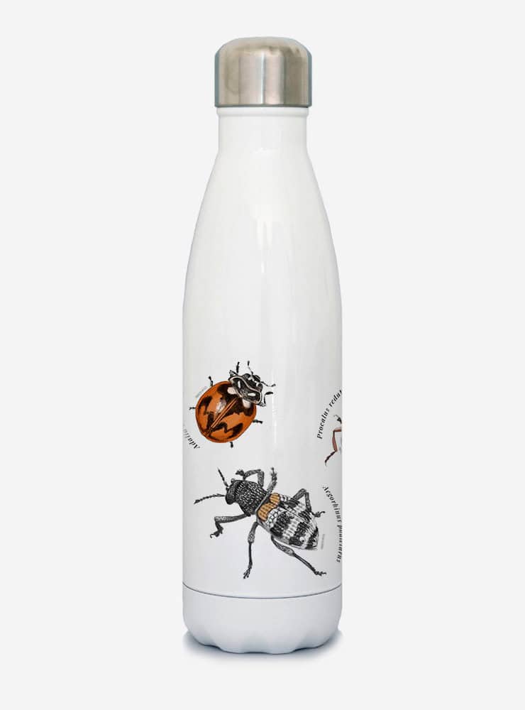 botella térmica 500ml diseño insectos de chile Chile
botella reutilizable libre BPA fauna Chile
regalo botella térmica insectos de chile Chile
botella térmica vuelta a clases insectos de chile Chile
botella ecológica reutilizable fauna flora chilena