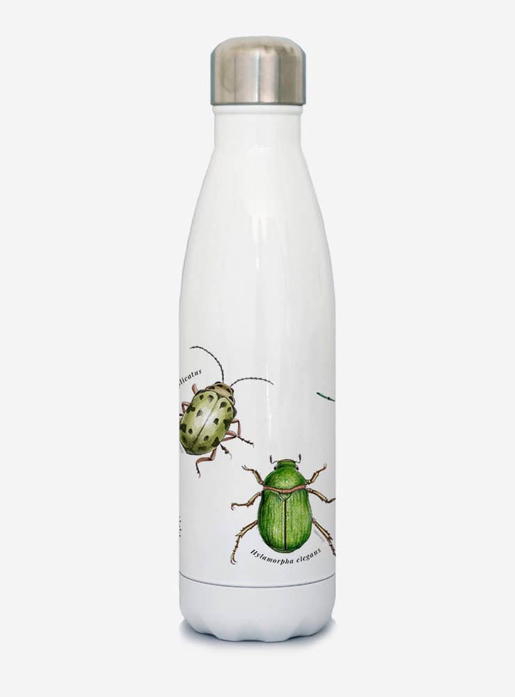 botella térmica 500ml diseño insectos de chile Chile
botella reutilizable libre BPA fauna Chile
regalo botella térmica insectos de chile Chile
botella térmica vuelta a clases insectos de chile Chile
botella ecológica reutilizable fauna flora chilena