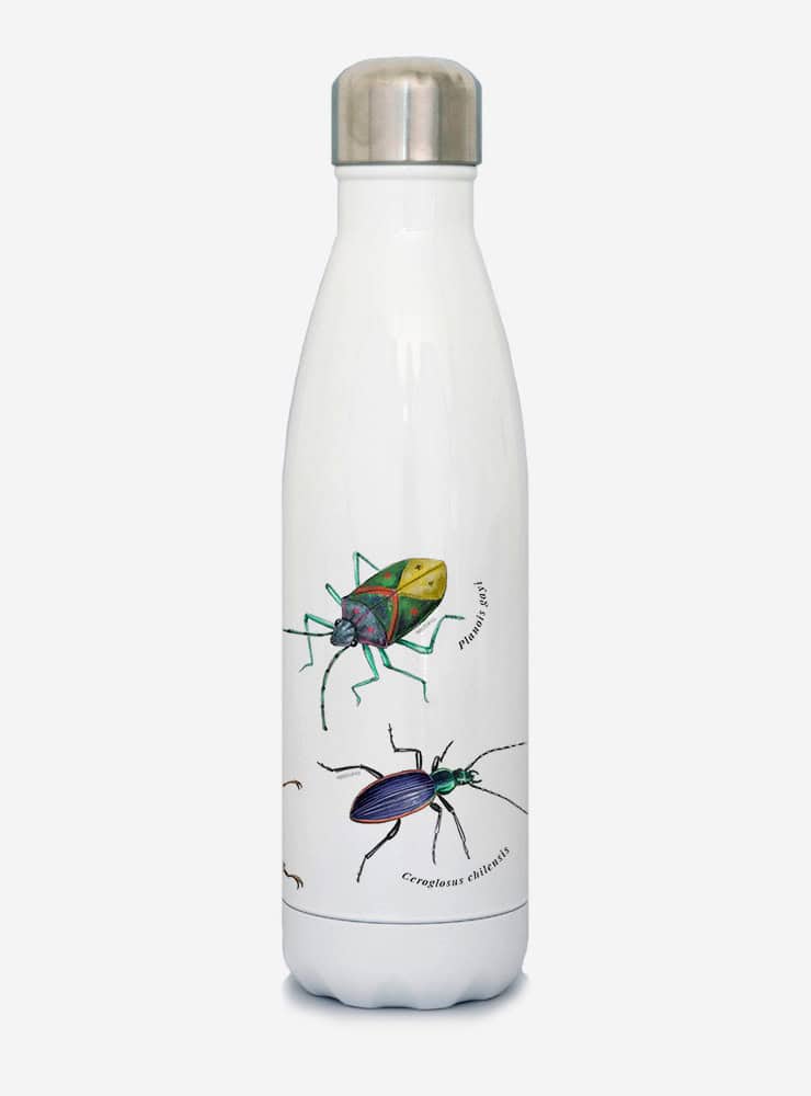 botella térmica 500ml diseño insectos de chile Chile
botella reutilizable libre BPA fauna Chile
regalo botella térmica insectos de chile Chile
botella térmica vuelta a clases insectos de chile Chile
botella ecológica reutilizable fauna flora chilena