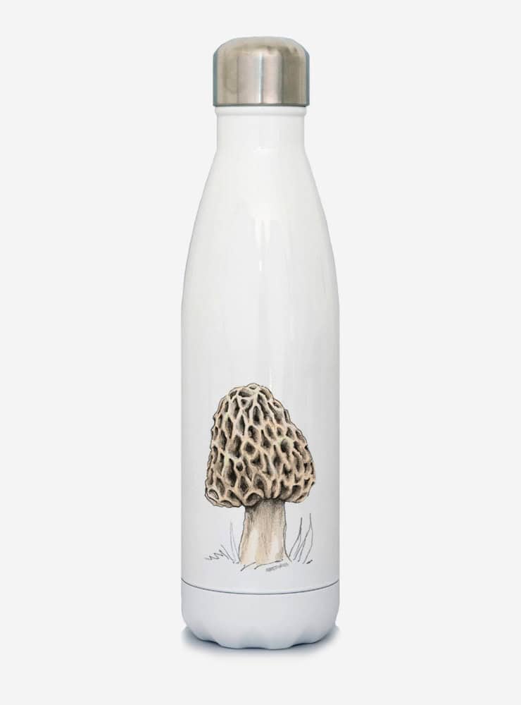 Botella Térmica - Morchella