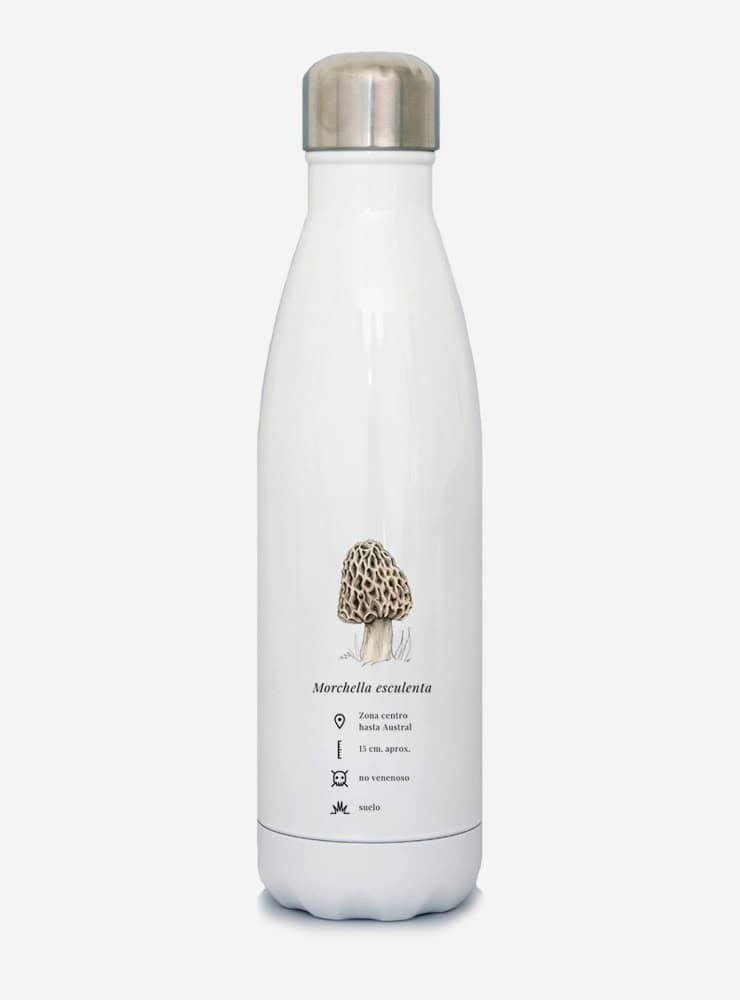 botella térmica 500ml diseño morchella Chile
botella reutilizable libre BPA fauna Chile
regalo botella térmica morchella Chile
botella térmica vuelta a clases morchella Chile
botella ecológica reutilizable fauna flora chilena