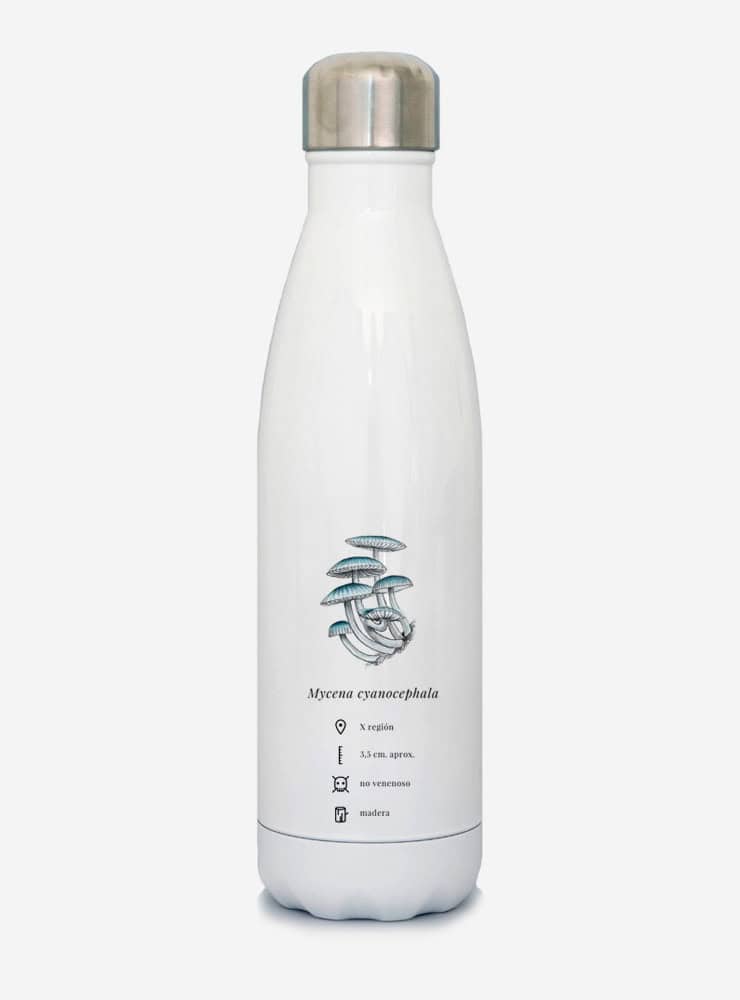 botella térmica 500ml diseño mycena Chile
botella reutilizable libre BPA fauna Chile
regalo botella térmica mycena Chile
botella térmica vuelta a clases mycena Chile
botella ecológica reutilizable fauna flora chilena