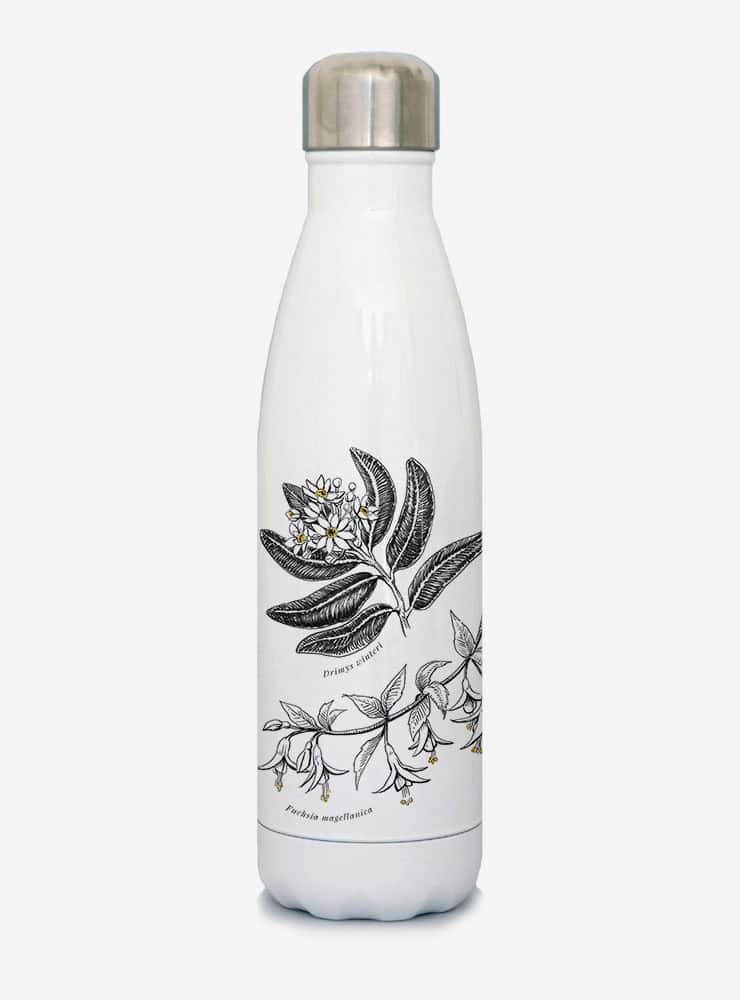 botella térmica 500ml diseño polinización Chile
botella reutilizable libre BPA fauna Chile
regalo botella térmica polinización Chile
botella térmica vuelta a clases polinización Chile
botella ecológica reutilizable fauna flora chilena