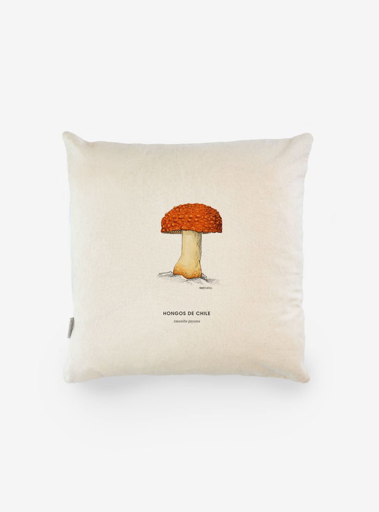 funda cojín diseño amanita gayana Chile algodón
decoración hogar con hongo endémico Chile
funda cojín algodón 50x50 amanita gayana Chile
regalo decoración hogar amanita gayana hongos Chile
funda cojín fungi endémico Chile hogar