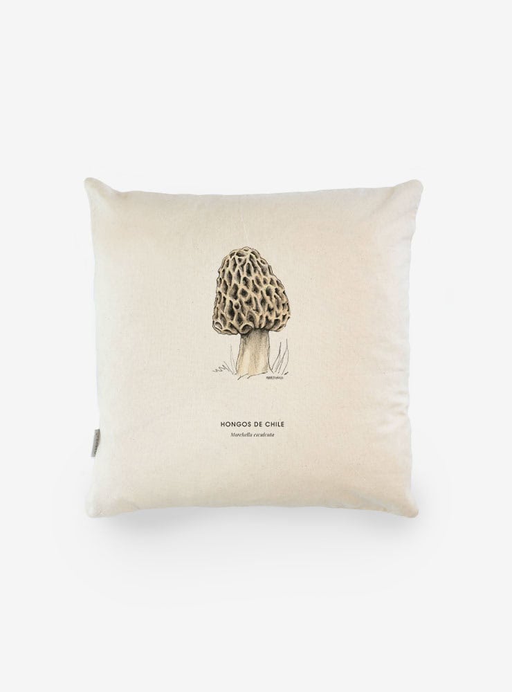 funda cojín diseño morchella Chile algodón
decoración hogar con hongo comestible nativo Chile
funda cojín algodón 50x50 morchella Chile
regalo decoración hogar morchella hongos Chile
funda cojín fungi bosque nativo Chile hogar