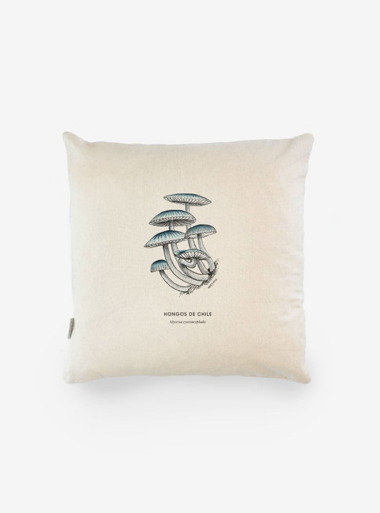 funda cojín diseño mycena cyanocephala Chile algodón
decoración hogar con hongo bioluminiscente endémico Chile
funda cojín algodón 50x50 mycena Chile
regalo decoración hogar mycena hongos Chile
funda cojín fungi endémico Chile hogar