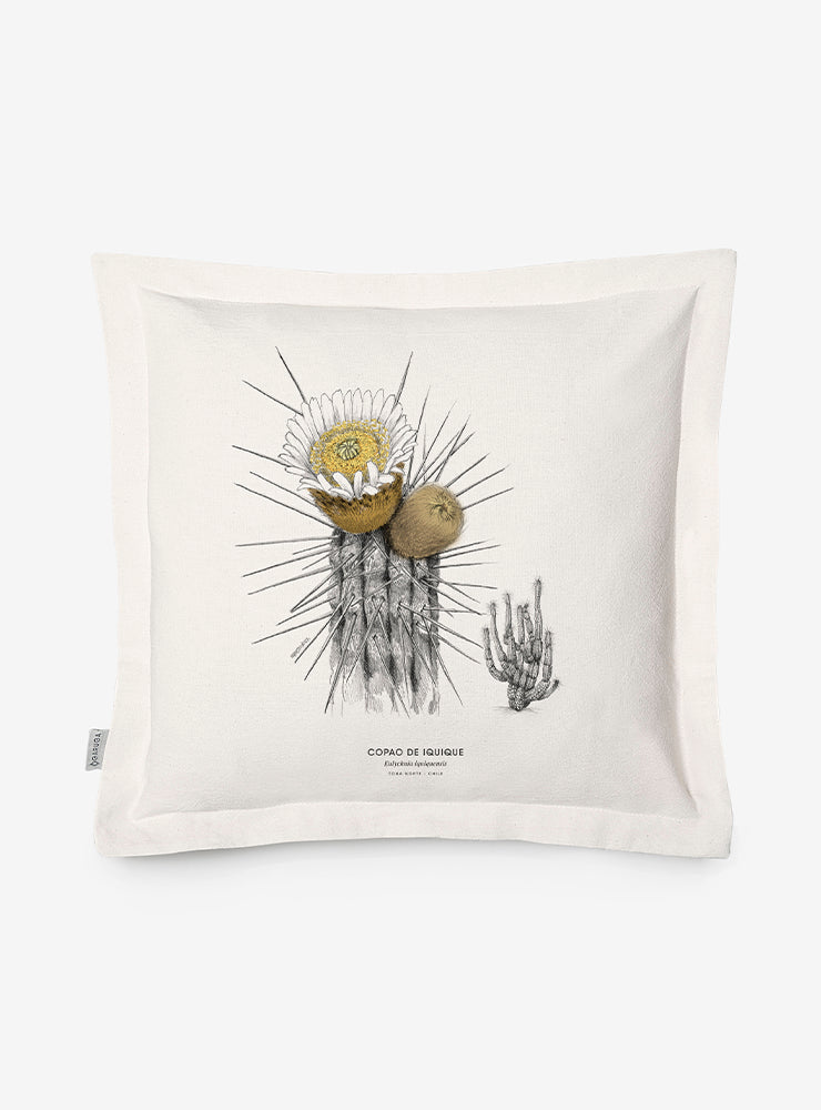 funda cojín diseño copao de Iquique Chile algodón
decoración hogar con cactus endémico norte Chile
funda cojín algodón 50x50 copao Iquique Chile
regalo decoración hogar copao flora endémica Chile
funda cojín flora norte Chile hogar