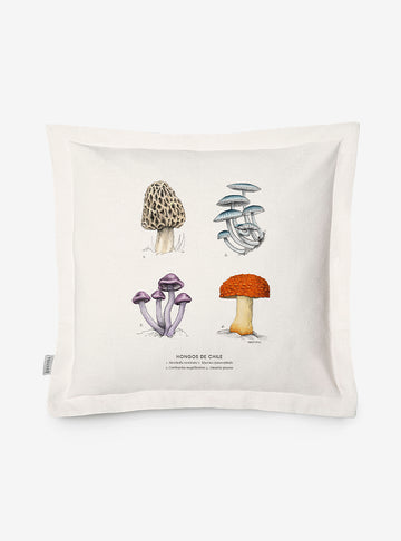 funda cojín diseño hongos nativos Chile algodón
decoración hogar con hongos endémicos bosque Chile
funda cojín algodón 50x50 hongos Chile
regalo decoración hogar hongos nativos Chile
funda cojín fauna flora nativa Chile hogar
