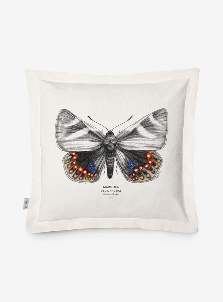 funda cojín diseño mariposa del chagual Chile algodón
decoración hogar con insecto endémico Chile
funda cojín algodón 50x50 mariposa chagual Chile
regalo decoración hogar mariposa del chagual Chile
funda cojín fauna invertebrada Chile hogar