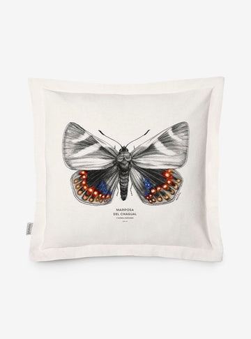 funda cojín diseño mariposa del chagual Chile algodón
decoración hogar con insecto endémico Chile
funda cojín algodón 50x50 mariposa chagual Chile
regalo decoración hogar mariposa del chagual Chile
funda cojín fauna invertebrada Chile hogar