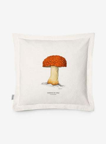 Funda Cojín- Amanita Gayana
