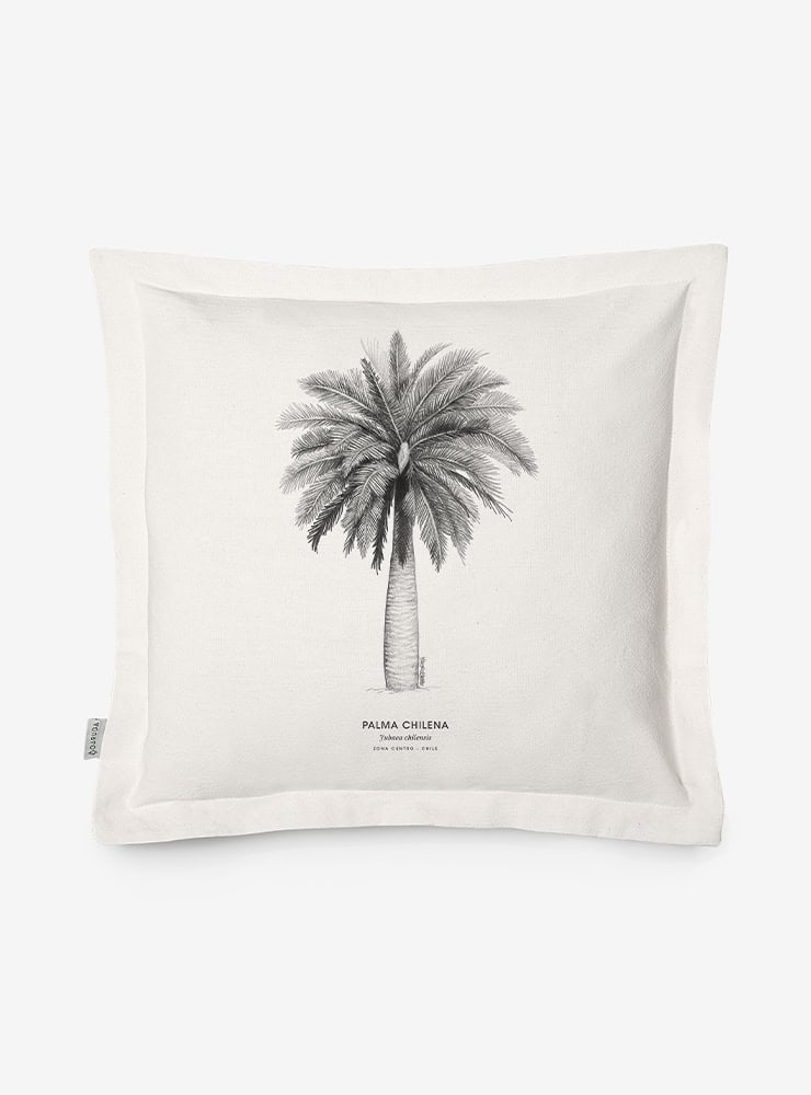 funda cojín diseño palma chilena Chile algodón
decoración hogar con árbol nacional Chile
funda cojín algodón 50x50 palma chilena Chile
regalo decoración hogar palma chilena flora nativa Chile
funda cojín flora endémica zona central Chile hogar