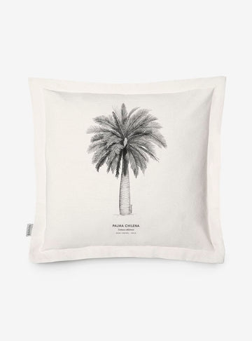 funda cojín diseño palma chilena Chile algodón
decoración hogar con árbol nacional Chile
funda cojín algodón 50x50 palma chilena Chile
regalo decoración hogar palma chilena flora nativa Chile
funda cojín flora endémica zona central Chile hogar