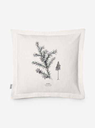 funda cojín diseño alerce Chile algodón
decoración hogar con árbol milenario nativo Chile
funda cojín algodón 50x50 alerce Chile
regalo decoración hogar alerce bosque nativo Chile
funda cojín flora nativa Chile hogar