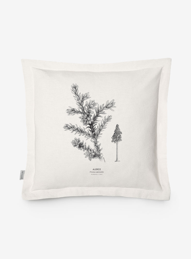 funda cojín diseño alerce Chile algodón
decoración hogar con árbol milenario nativo Chile
funda cojín algodón 50x50 alerce Chile
regalo decoración hogar alerce bosque nativo Chile
funda cojín flora nativa Chile hogar