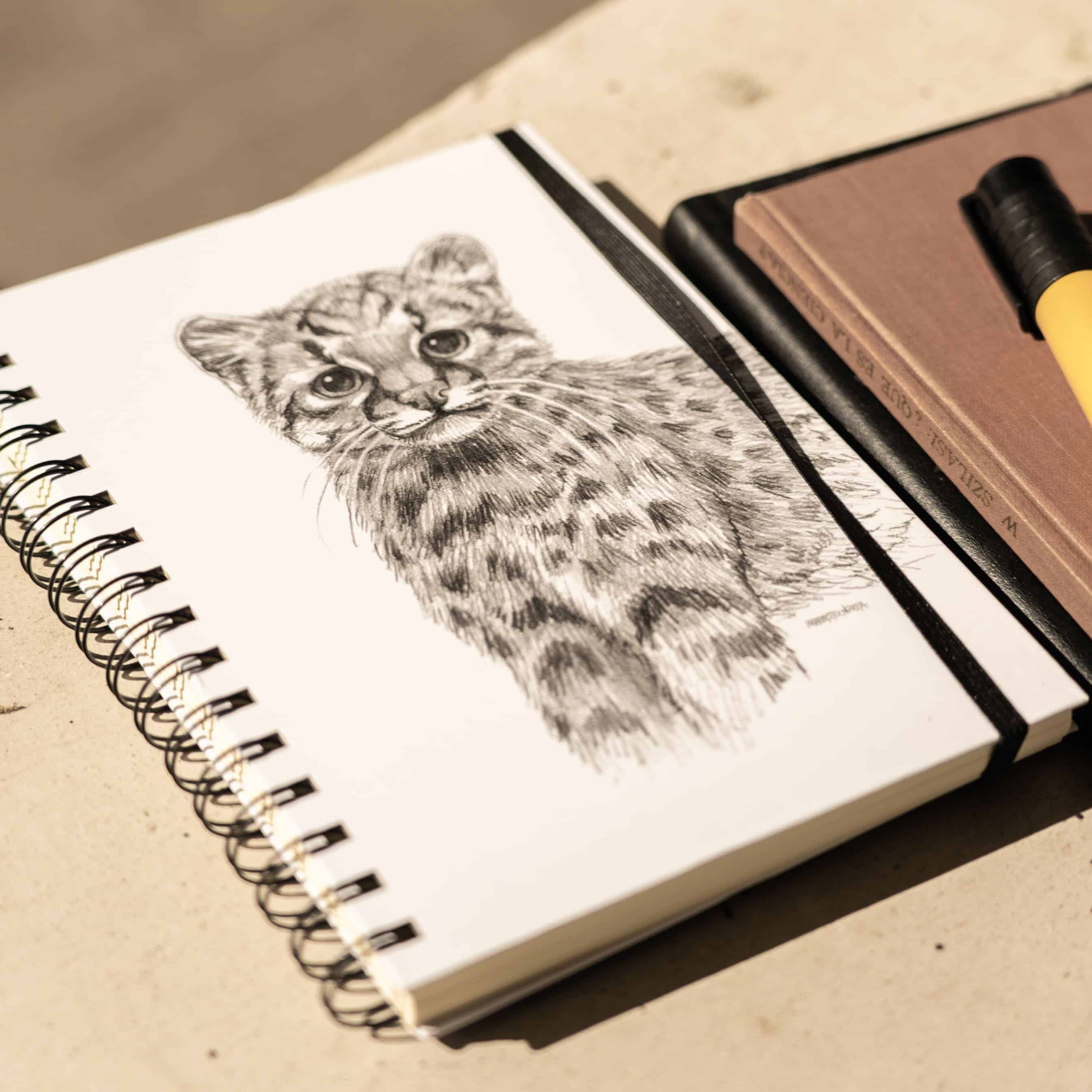 cuaderno diseño siete colores Chile vuelta clases
cuaderno escolar ilustración siete colores fauna Chile
regalo cuaderno siete colores fauna chilena
cuaderno 100 páginas siete colores Chile
cuaderno escolar fauna flora nativa Chile