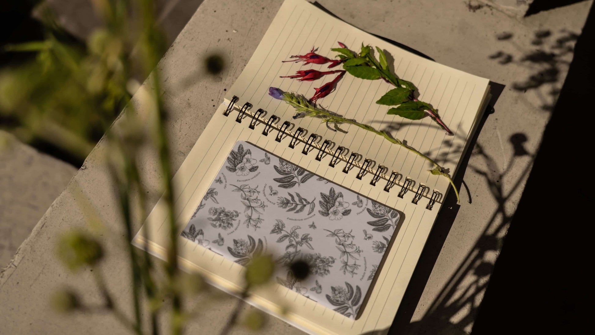 cuaderno diseño carpinterito Chile vuelta clases
cuaderno escolar ilustración carpinterito fauna Chile
regalo cuaderno carpinterito fauna chilena
cuaderno 100 páginas carpinterito Chile
cuaderno escolar fauna flora nativa Chile