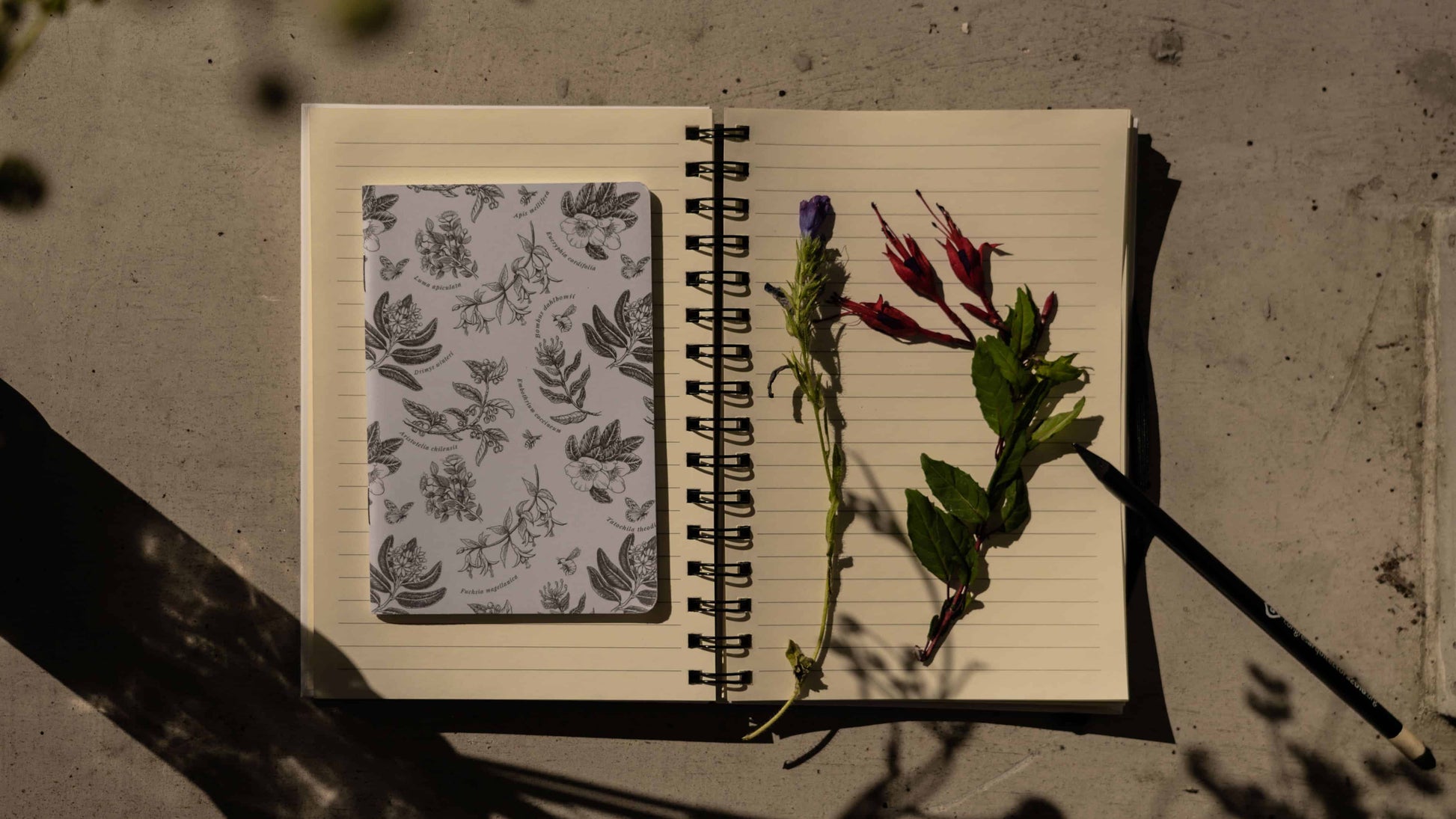 cuaderno diseño huemul Chile vuelta clases
cuaderno escolar ilustración huemul fauna Chile
regalo cuaderno huemul fauna chilena
cuaderno 100 páginas huemul Chile
cuaderno escolar fauna flora nativa Chile
