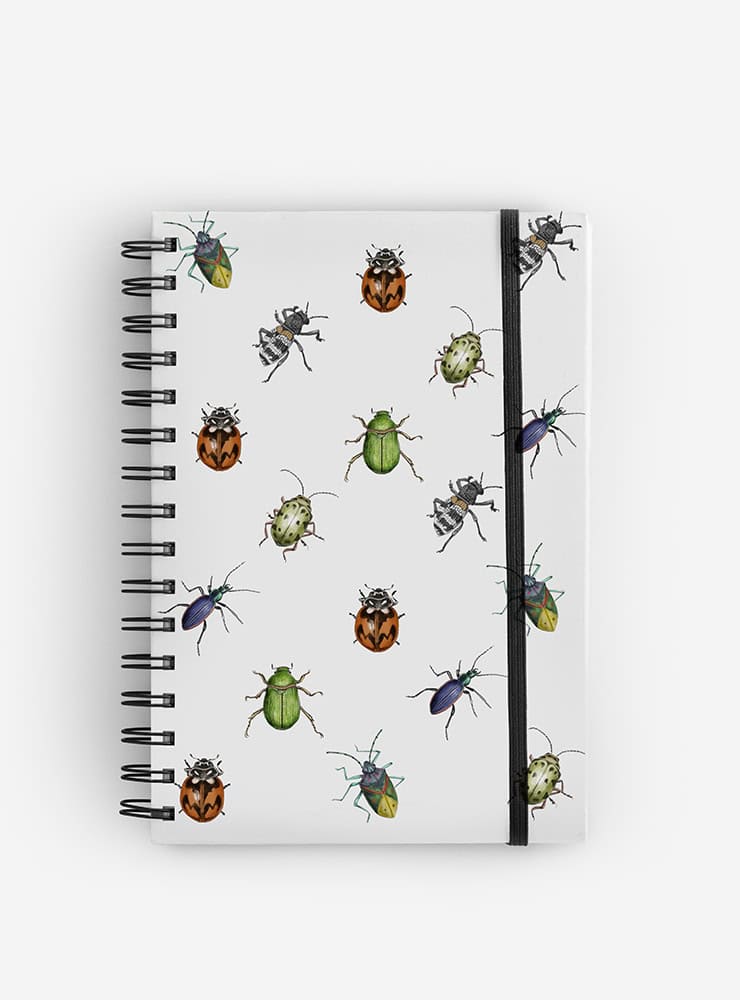 cuaderno diseño insectos de chile Chile vuelta clases
cuaderno escolar ilustración insectos de chile fauna Chile
regalo cuaderno insectos de chile fauna chilena
cuaderno 100 páginas insectos de chile Chile
cuaderno escolar fauna flora nativa Chile