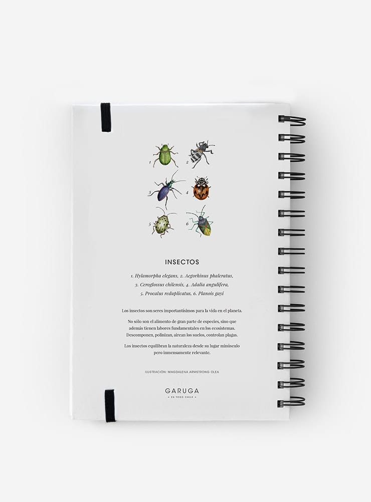 cuaderno diseño insectos de chile Chile vuelta clases
cuaderno escolar ilustración insectos de chile fauna Chile
regalo cuaderno insectos de chile fauna chilena
cuaderno 100 páginas insectos de chile Chile
cuaderno escolar fauna flora nativa Chile