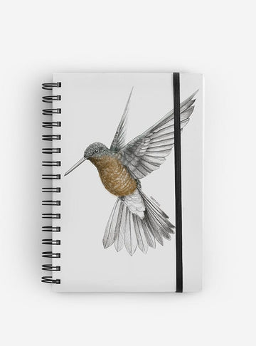 cuaderno diseño picaflor gigante Chile vuelta clases
cuaderno escolar ilustración picaflor gigante fauna Chile
regalo cuaderno picaflor gigante fauna chilena
cuaderno 100 páginas picaflor gigante Chile
cuaderno escolar fauna flora nativa Chile