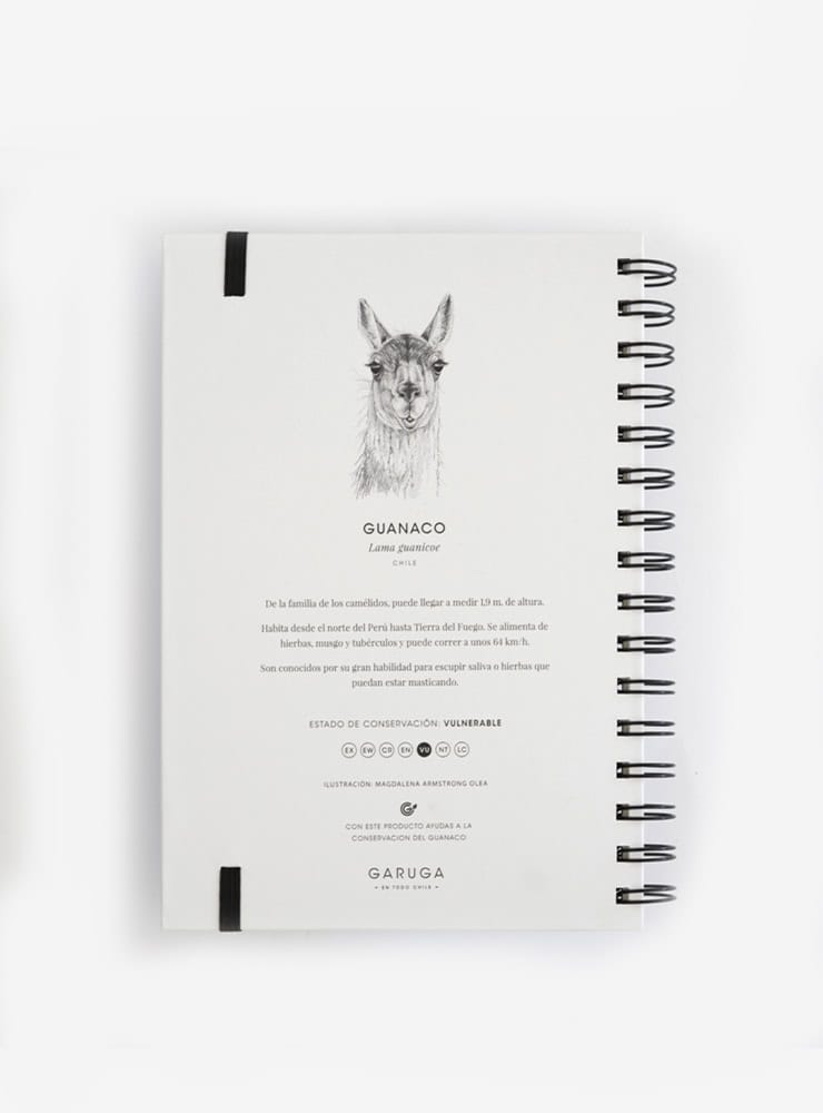 cuaderno diseño guanaco Chile vuelta clases
cuaderno escolar ilustración guanaco fauna Chile
regalo cuaderno guanaco fauna chilena
cuaderno 100 páginas guanaco Chile
cuaderno escolar fauna flora nativa Chile