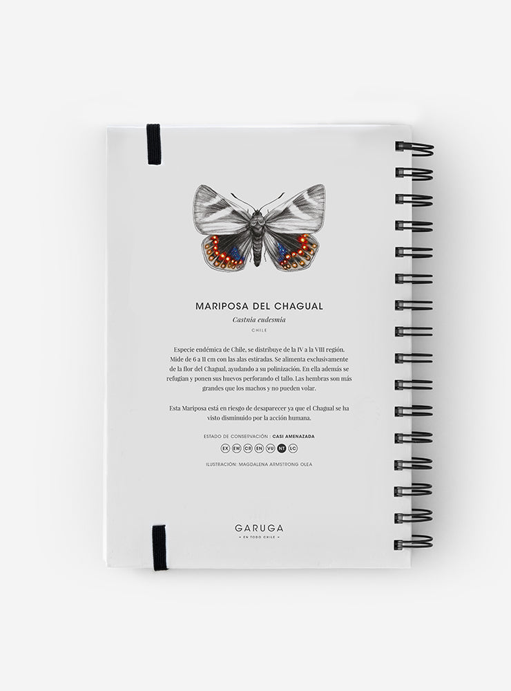 cuaderno diseño mariposa del chagual Chile vuelta clases
cuaderno escolar ilustración mariposa del chagual fauna Chile
regalo cuaderno mariposa del chagual fauna chilena
cuaderno 100 páginas mariposa del chagual Chile
cuaderno escolar fauna flora nativa Chile