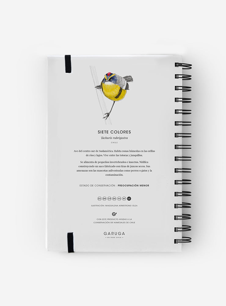 cuaderno diseño siete colores Chile vuelta clases
cuaderno escolar ilustración siete colores fauna Chile
regalo cuaderno siete colores fauna chilena
cuaderno 100 páginas siete colores Chile
cuaderno escolar fauna flora nativa Chile