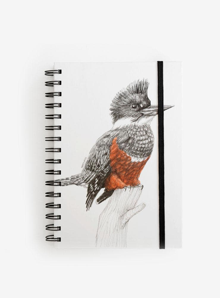 cuaderno diseño martín pescador Chile vuelta clases
cuaderno escolar ilustración martín pescador fauna Chile
regalo cuaderno martín pescador fauna chilena
cuaderno 100 páginas martín pescador Chile
cuaderno escolar fauna flora nativa Chile
