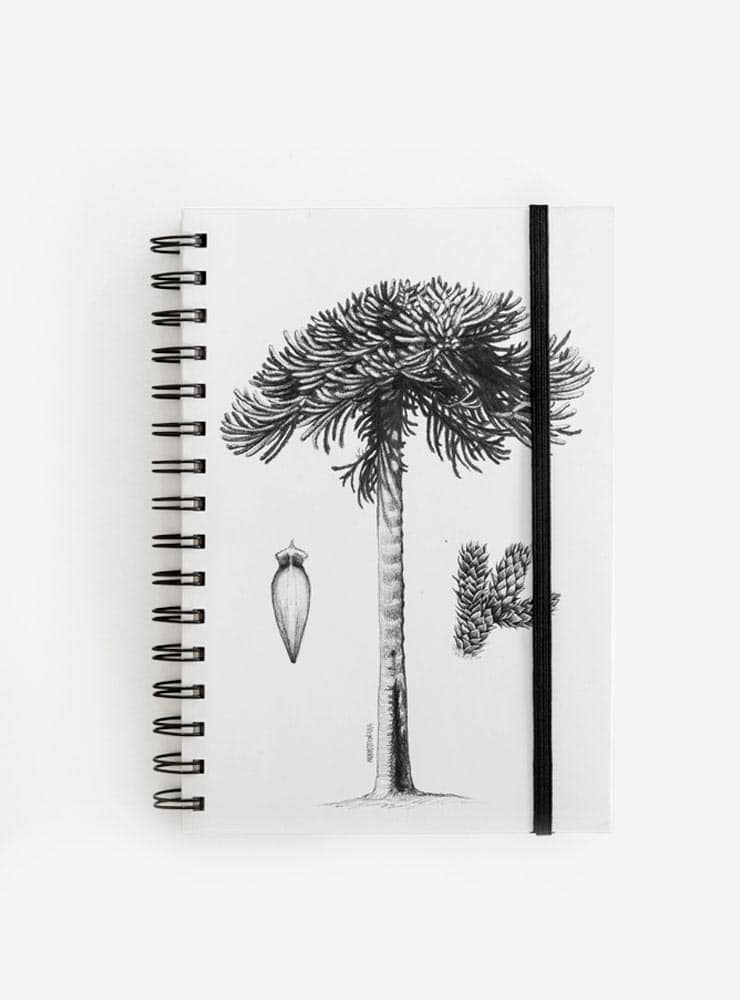 cuaderno diseño araucaria Chile vuelta clases
cuaderno escolar ilustración araucaria fauna Chile
regalo cuaderno araucaria fauna chilena
cuaderno 100 páginas araucaria Chile
cuaderno escolar fauna flora nativa Chile