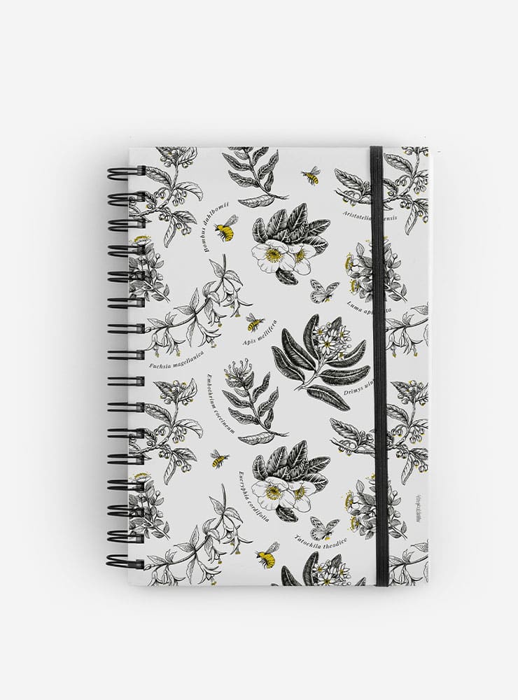 cuaderno diseño polinización Chile vuelta clases
cuaderno escolar ilustración polinización fauna Chile
regalo cuaderno polinización fauna chilena
cuaderno 100 páginas polinización Chile
cuaderno escolar fauna flora nativa Chile