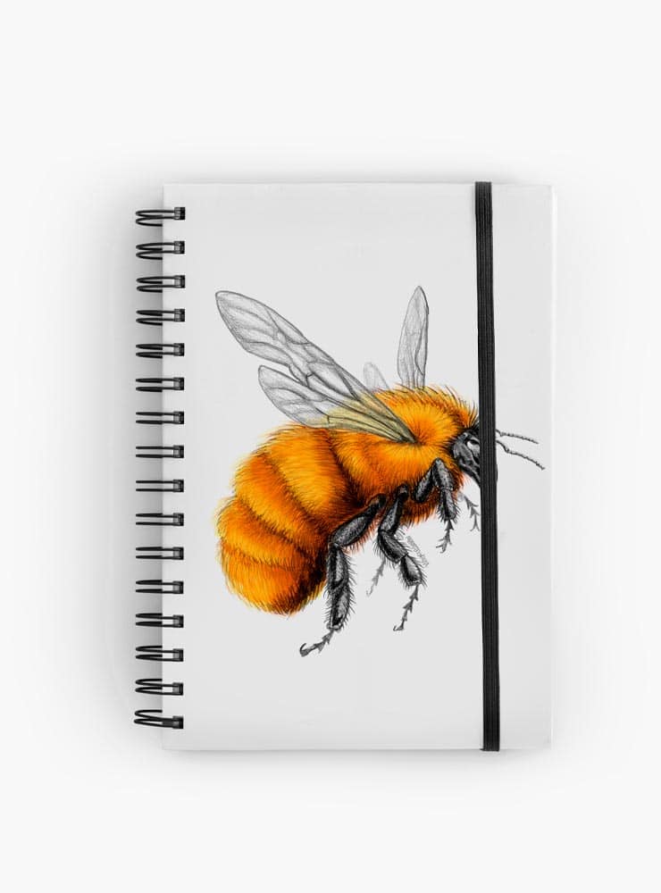 Cuaderno Abejorro