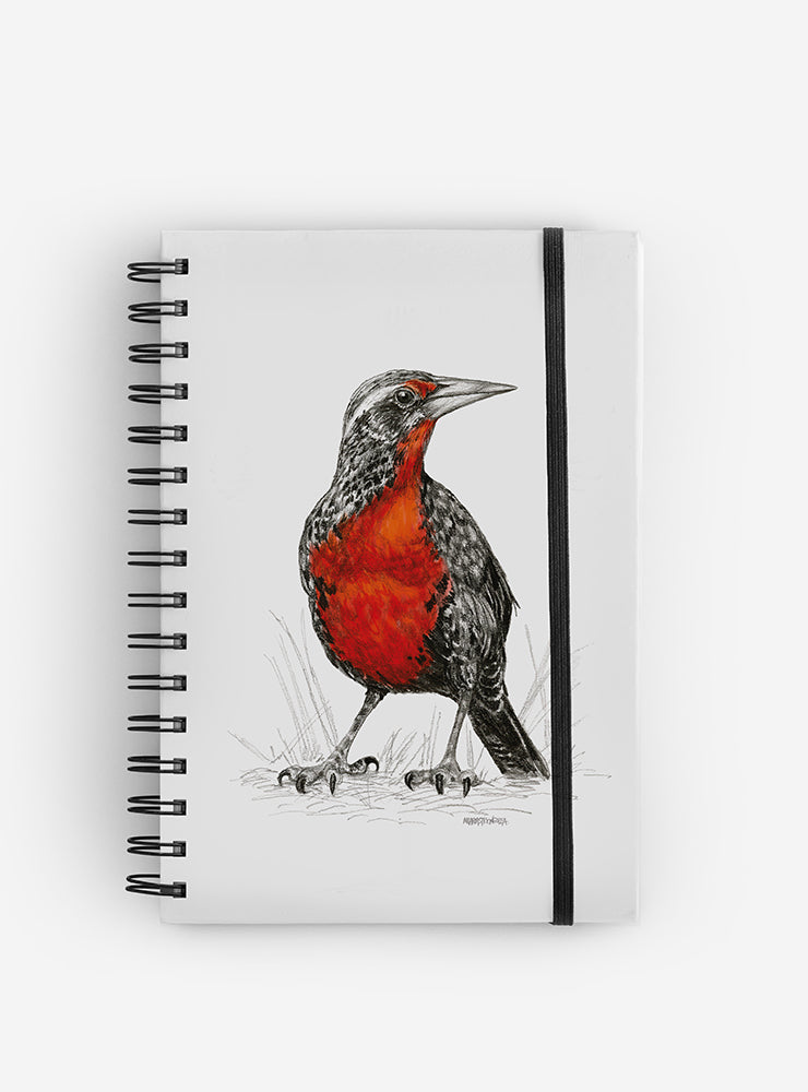 cuaderno diseño loica Chile vuelta clases
cuaderno escolar ilustración loica fauna Chile
regalo cuaderno loica fauna chilena
cuaderno 100 páginas loica Chile
cuaderno escolar fauna flora nativa Chile