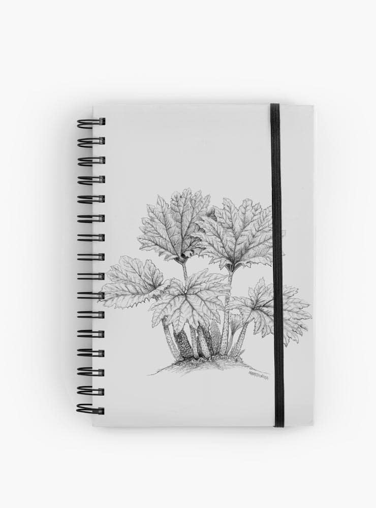 Cuaderno Nalca