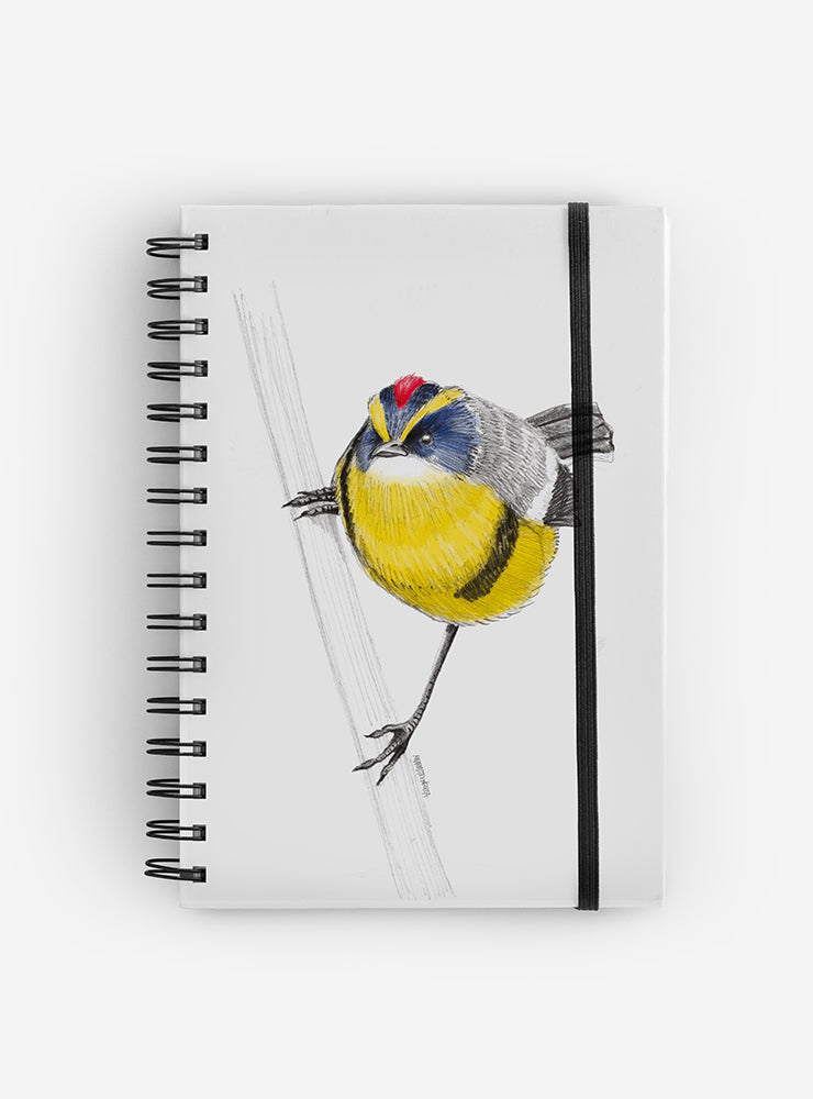 cuaderno diseño siete colores Chile vuelta clases
cuaderno escolar ilustración siete colores fauna Chile
regalo cuaderno siete colores fauna chilena
cuaderno 100 páginas siete colores Chile
cuaderno escolar fauna flora nativa Chile