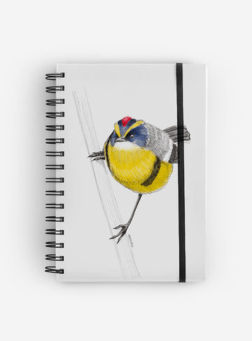 cuaderno diseño siete colores Chile vuelta clases
cuaderno escolar ilustración siete colores fauna Chile
regalo cuaderno siete colores fauna chilena
cuaderno 100 páginas siete colores Chile
cuaderno escolar fauna flora nativa Chile