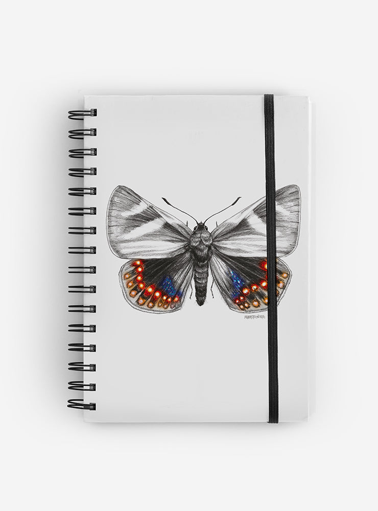 cuaderno diseño mariposa del chagual Chile vuelta clases
cuaderno escolar ilustración mariposa del chagual fauna Chile
regalo cuaderno mariposa del chagual fauna chilena
cuaderno 100 páginas mariposa del chagual Chile
cuaderno escolar fauna flora nativa Chile