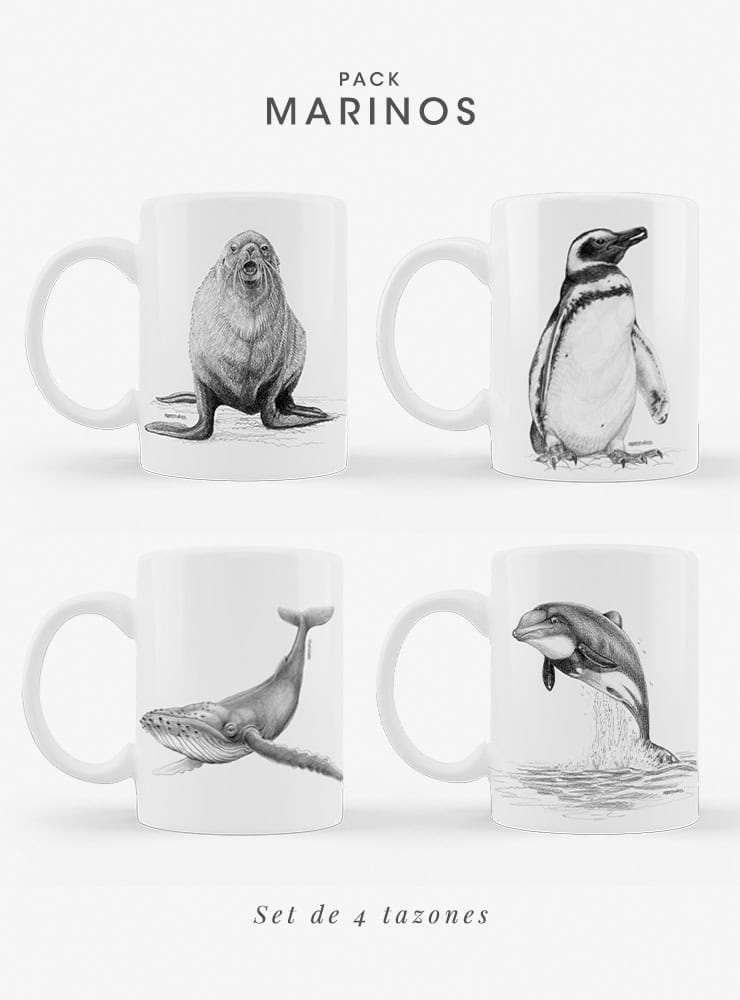 set 4 tazones cerámica fauna marina Chile
regalo set tazones ballena jorobada delfín lobo pingüino Chile
set tazones apto microondas fauna marina Chile
regalo Navidad set tazones fauna marina Chile
set tazones fauna marina austral Chile regalo hogar