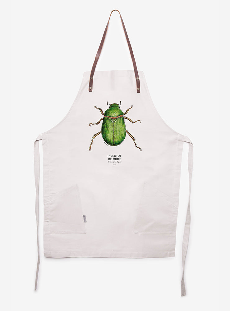 Delantal - Hylamorpha Elegans