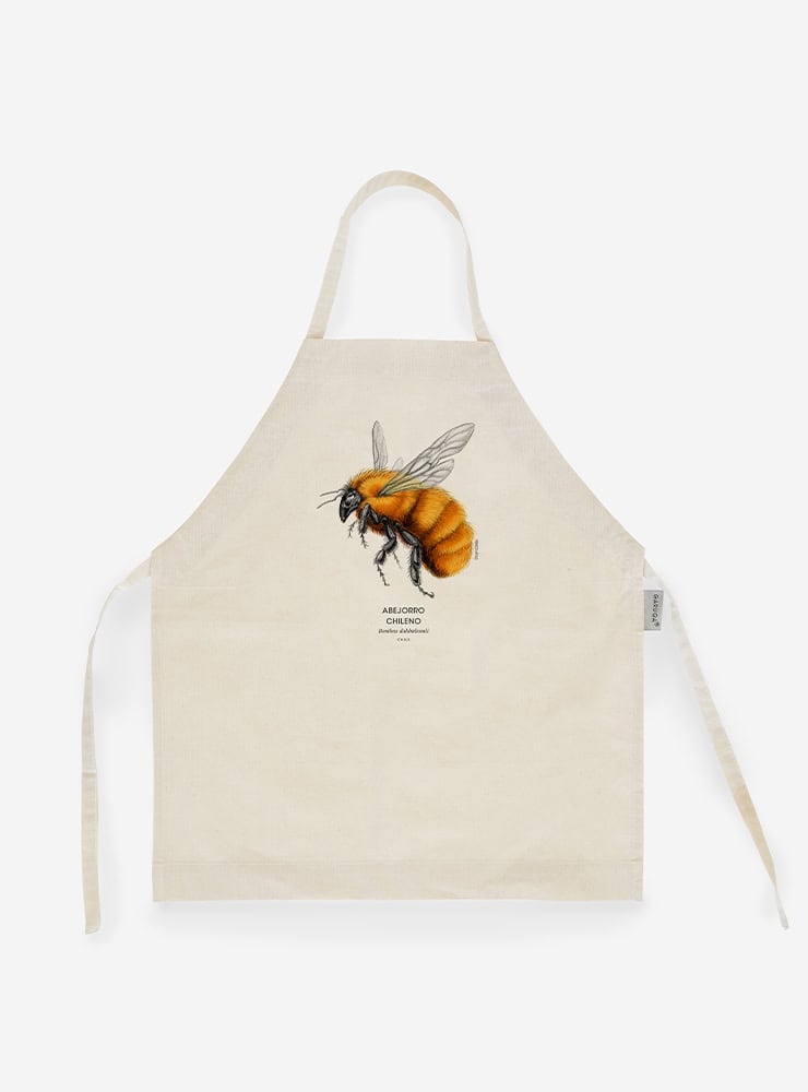 delantal infantil diseño abejorro chileno Chile
delantal niño talla 2-5 abejorro más grande mundo Chile
regalo niño delantal infantil abejorro chileno Chile
delantal escolar insectos nativos Chile
delantal infantil algodón polinizador en peligro Chile