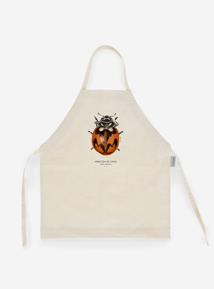 delantal infantil diseño adalia angulifera chinita Chile
delantal niño talla 2-5 insecto nativo Chile
regalo niño delantal infantil chinita Chile
delantal escolar insectos nativos Chile
delantal infantil algodón chinita endémica Chile