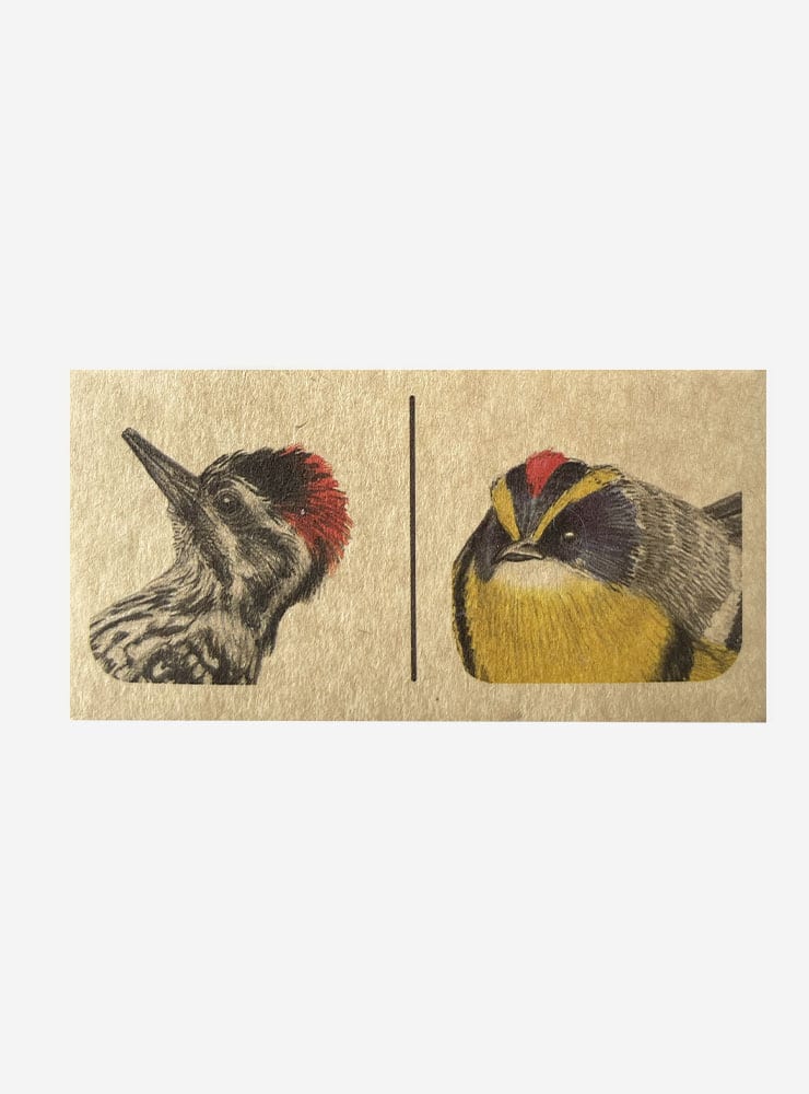 juego dominó aves nativas Chile cartón reciclable
dominó educativo aves Chile niños regalo
juego dominó fauna aviar chilena 28 piezas
regalo niño juego dominó aves Chile
juego educativo aves nativas Chile made in Chile