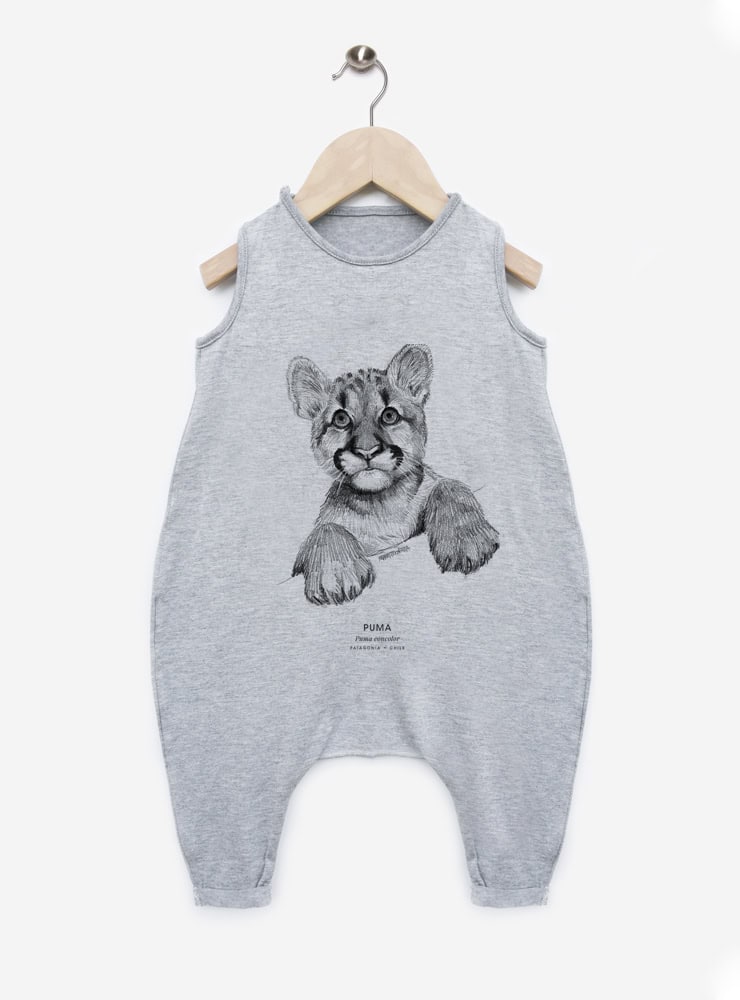 Enterito - Puma cachorro