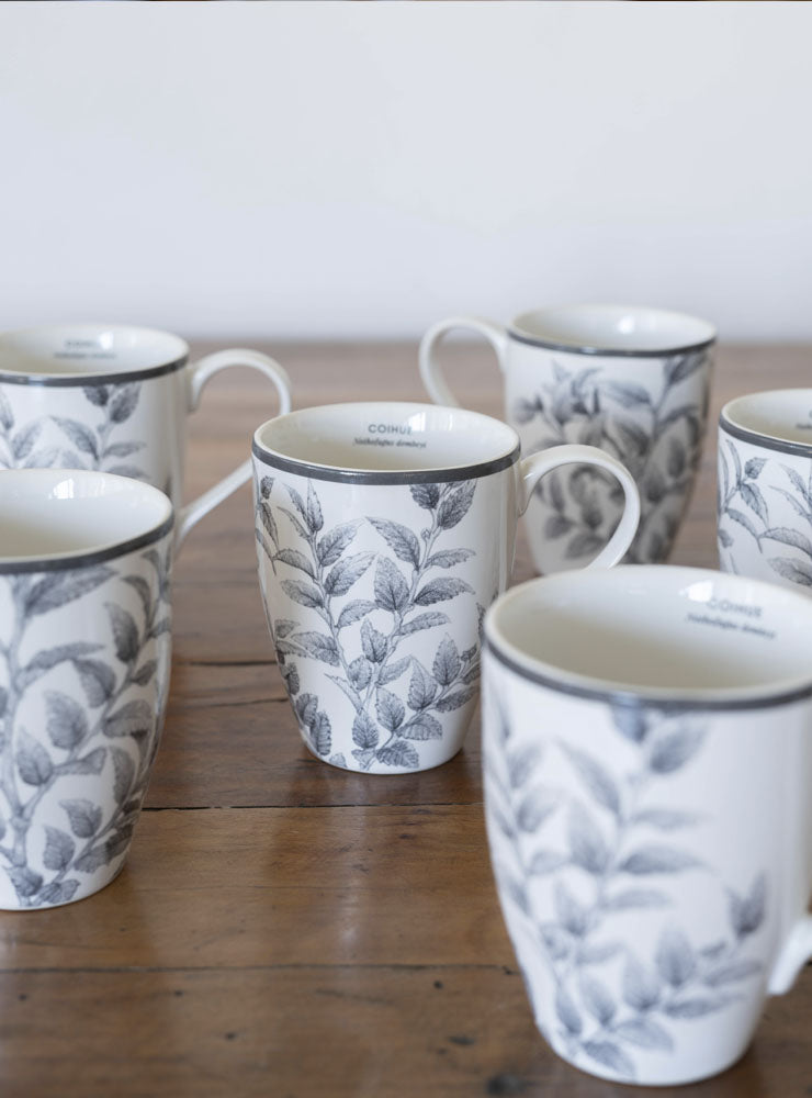 set 6 mugs porcelana diseño coihue bosque valdiviano Chile
regalo set mugs porcelana árbol nativo Chile
set mugs porcelana coihue decoración hogar Chile
regalo Navidad set mugs porcelana flora nativa Chile
set tazas porcelana bosque nativo Chile regalo