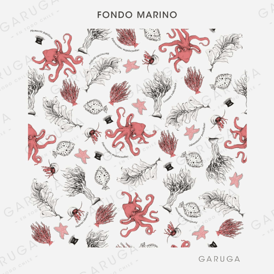 FONDO MARINO