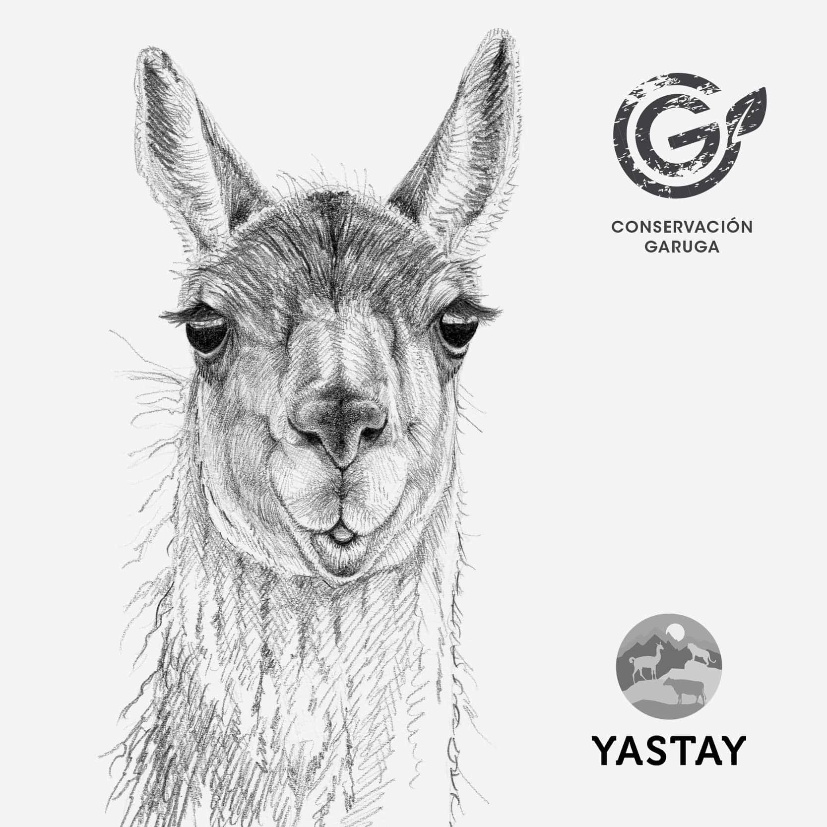 libreta diseño guanaco Chile
libreta papelería ilustración fauna flora chilena
regalo libreta guanaco fauna Chile
libreta 60 páginas guanaco Chile
regalo papelería fauna flora nativa Chile