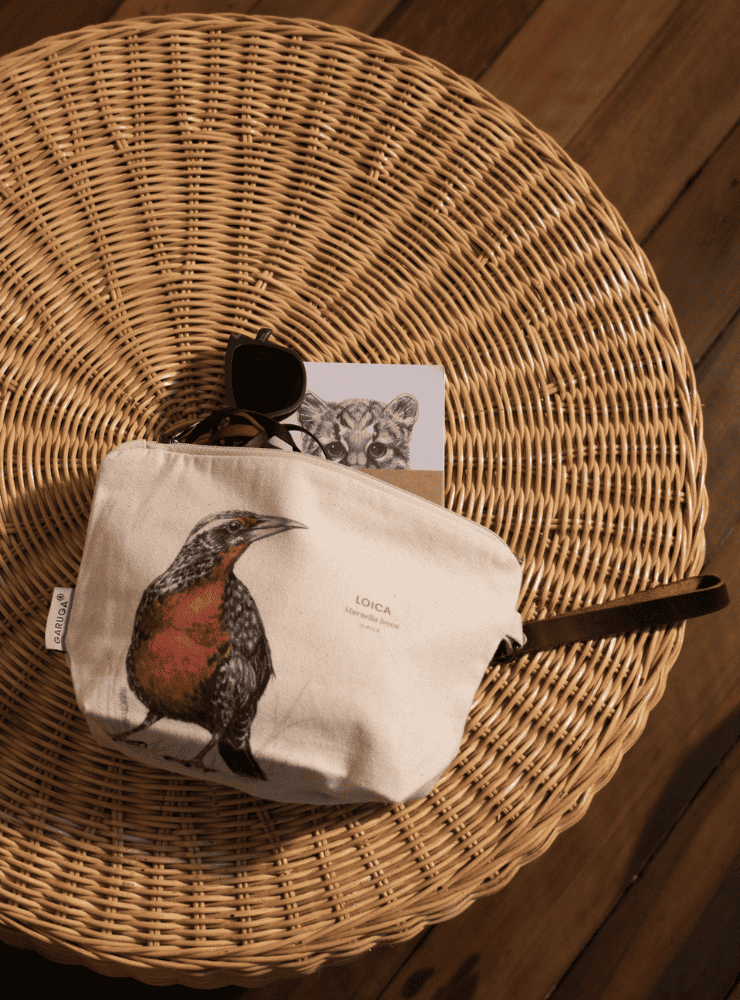 neceser diseño cóndor volando Chile
regalo neceser fauna flora chilena
necesar cóndor volando accesorio sustentable Chile
regalo Día de la Madre neceser cóndor volando Chile
necesar ilustración cóndor volando fauna Chile
