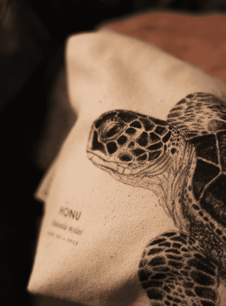 neceser diseño tipi tipi mata Chile
regalo neceser fauna flora chilena
necesar tipi tipi mata accesorio sustentable Chile
regalo Día de la Madre neceser tipi tipi mata Chile
necesar ilustración tipi tipi mata fauna Chile