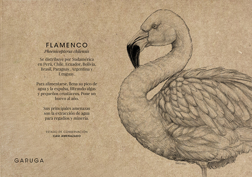 set individuales laguna fauna Chile
individuales mantelería fauna nativa Chile
regalo set individuales laguna Chile
Garuga individuales laguna fauna chilena